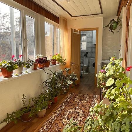 Gulnara Guest House Balikci Exterior foto
